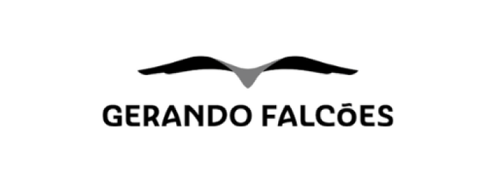 Gerando Falcões